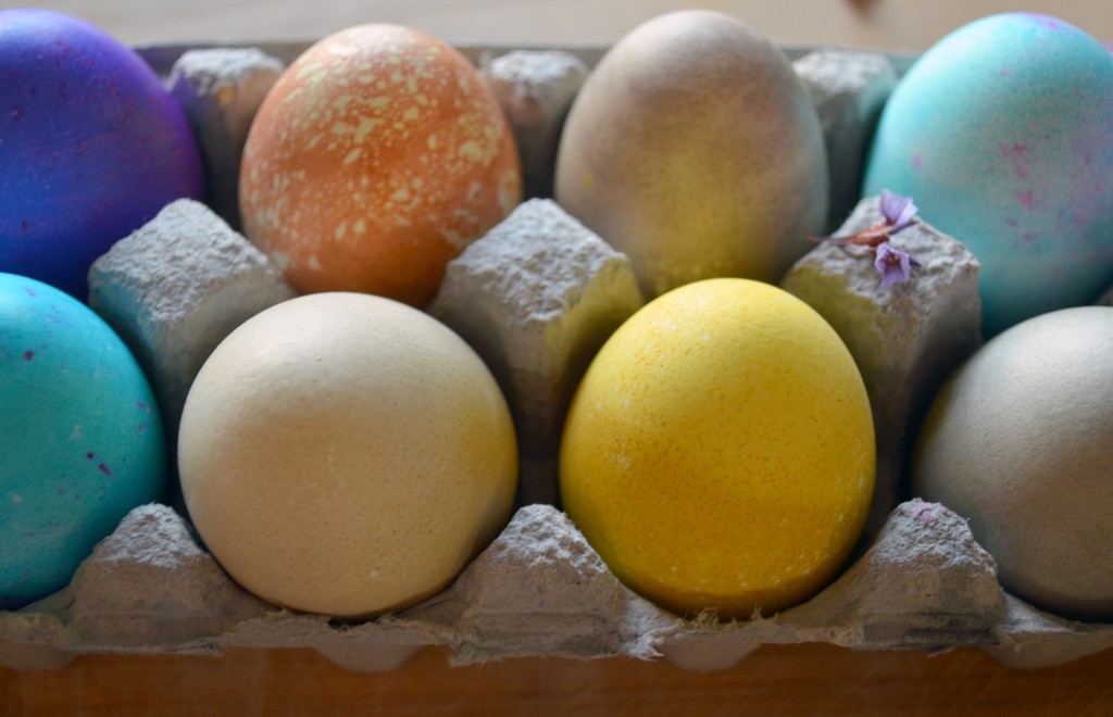 naturally dyed Easter eggs - Natural Egg Dye 4