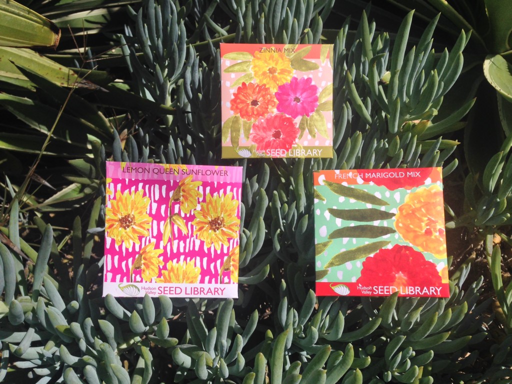 seed packets