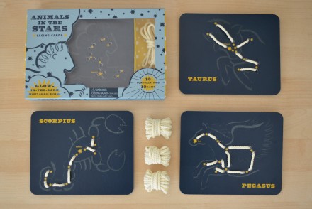 Animals in the stars activity cards 4